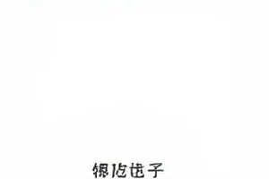 《旧胶片仓库》原始通告单公开页局部